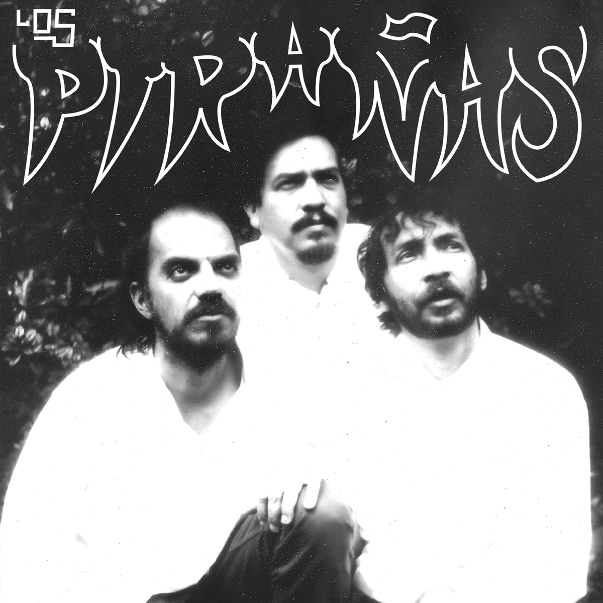 pirañas 2